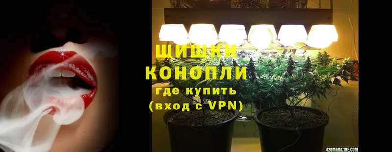 Бошки марихуана SATIVA & INDICA  купить наркотик  Грозный 